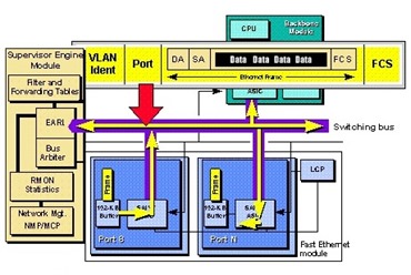 Basic-Switch-Architecture