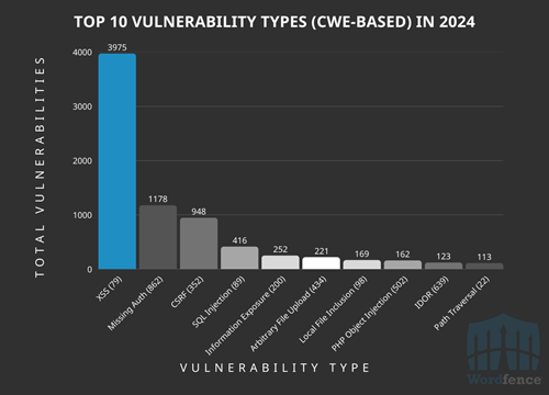 Wordpress 2024 - Vulnerability Type